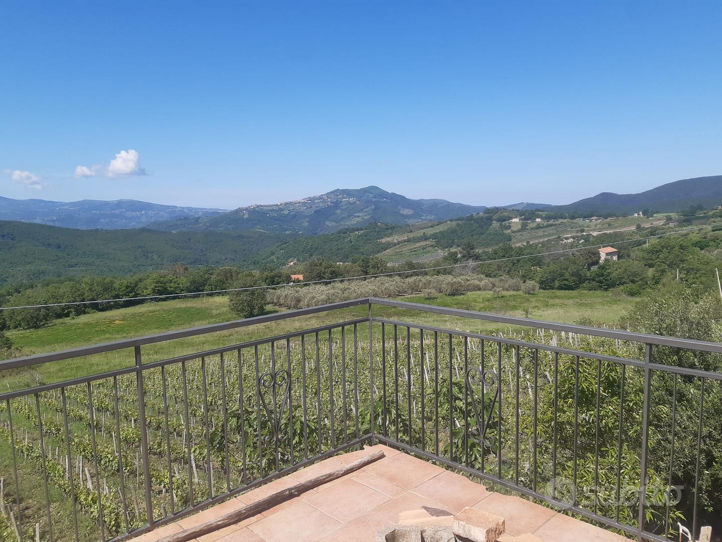 Fabbricato rurale e vigneto uliveto - Vista 4