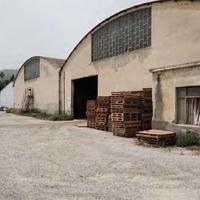 RGE 30/2024 + 79/2024 Trib PATTI