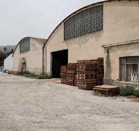 RGE 30/2024 + 79/2024 Trib PATTI