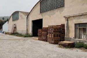 RGE 30/2024 + 79/2024 Trib PATTI