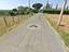Immagine 7