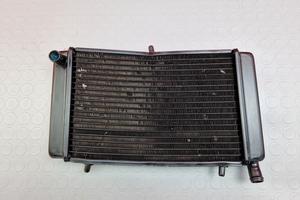 RADIATORE ACQUA APRILIA RS 125 2005 2004 RS125 200