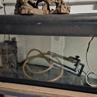 acquario pet company da 80 litri