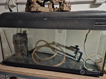 acquario pet company da 80 litri