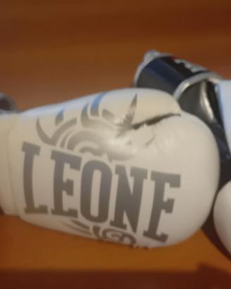 Guantoni Leone