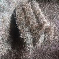 ballette per animali