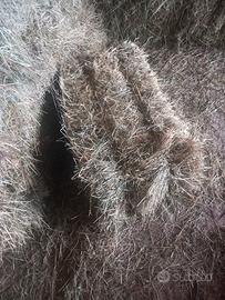 ballette per animali