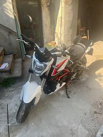 Moto BENELLI BN251