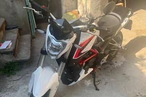 Moto BENELLI BN251