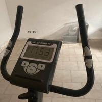 Bicicletta Carnielli