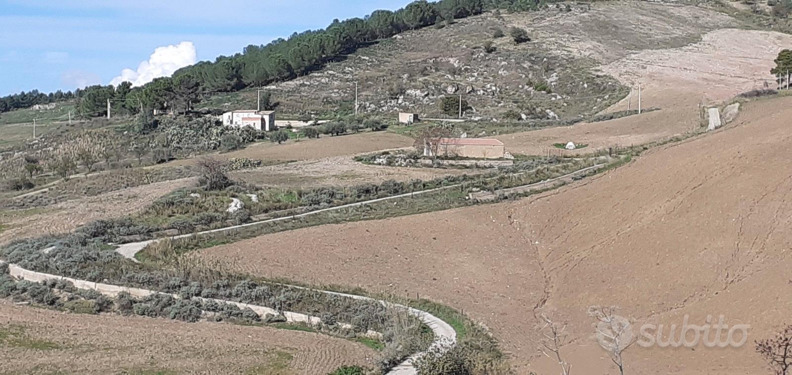Terreno Agricolo Panoramico 20 Ettari - Vista 2
