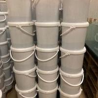 Pastura Sarda per pesca in mare