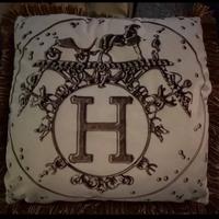 Cuscini 50x50 in velluto tipo HERMES con imbotti