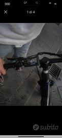 fat ebike