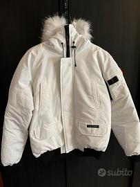 Canda goose bianco