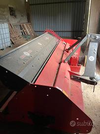 Trinciastocchi Paladino