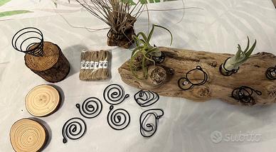 Kit fai da te supporto  piante aeree tillandsia