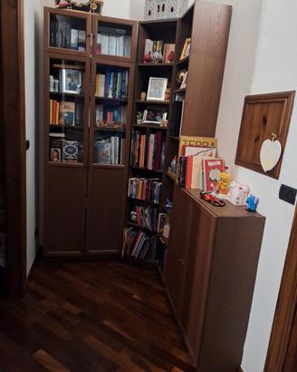 libreria coloe noce