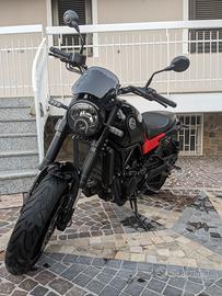 moto Benelli Leoncino 500