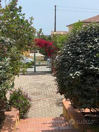 Casa montipetrosu