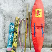 TAVOLA DA WINDSURF FANATIC 295