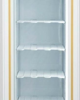 Vetrina freezer
