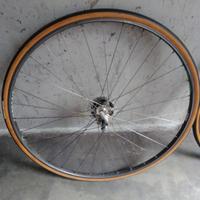 ruote bici  campagnola 