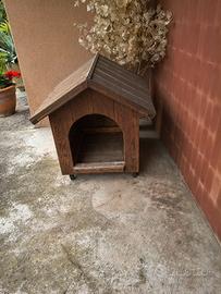 casetta per cane