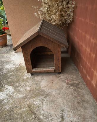 casetta per cane