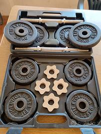 Set manubri con dischi