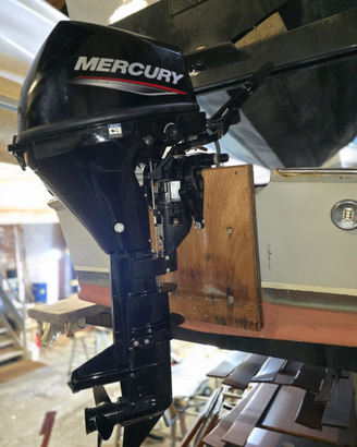 Mercury f9.9ml