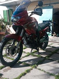 Affidabilissima Transalp 650 