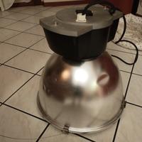lampada