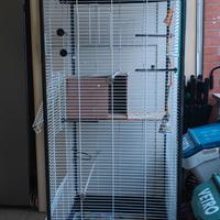 Gabbia, voliera, pappagalli, uccelli,inseparabili.