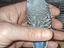 Immagine 2