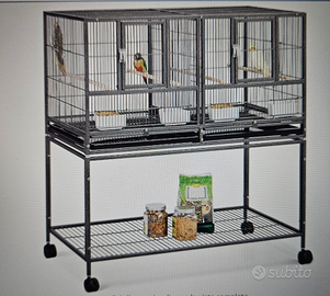 Gabbia voliera uccelli cocorite calopsiti insepara