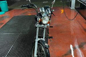 Red rosa 50