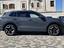 Immagine 7