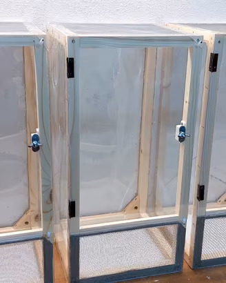 Teca Terrario fasmidi 25*25*50cm