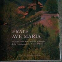 Libro Frate Ave Maria di D. Sparpaglione - usato