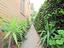 Immagine 8
