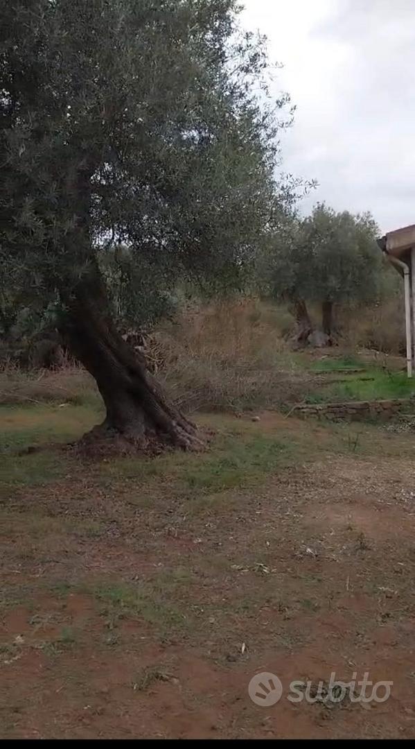 Vendita terreno - Vista 4