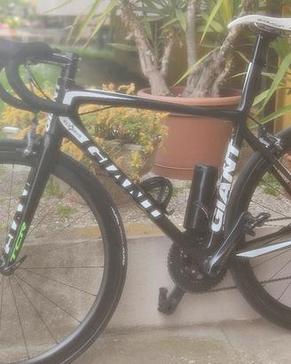 Giant tcr carbon 