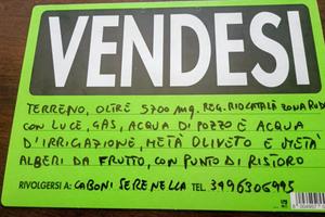 Il mio terreno