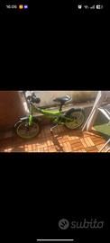 bici kawasaki colore verde