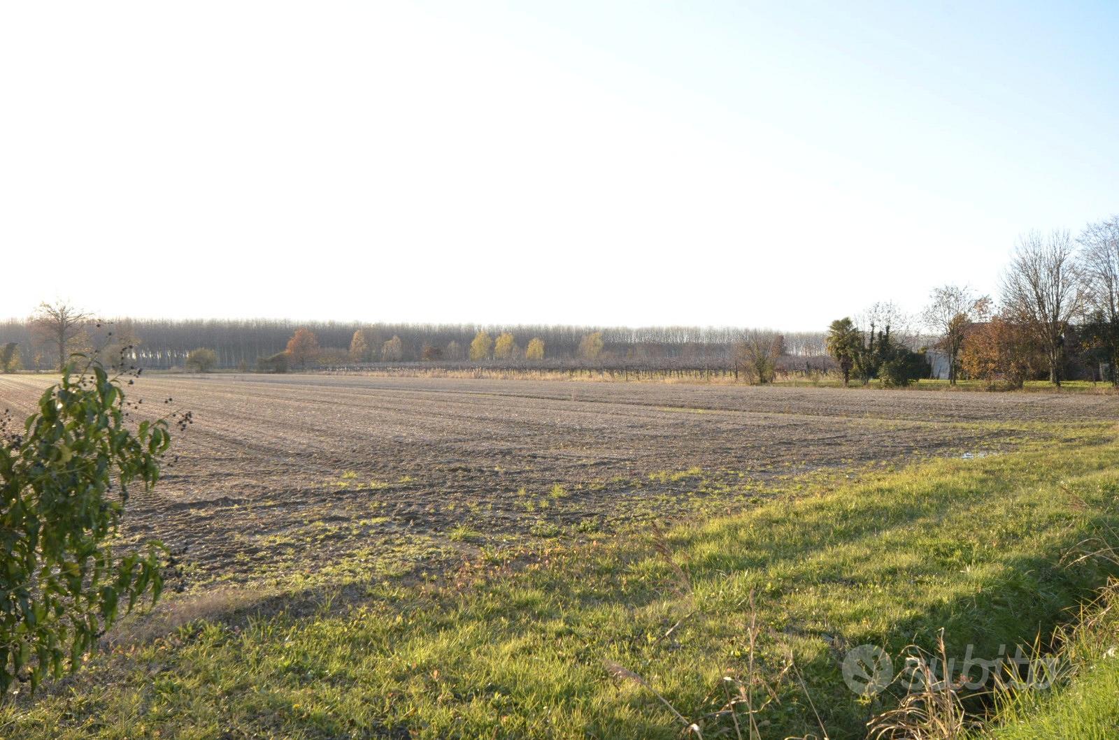 Terreno agricolo - Vista 4