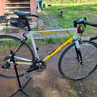 bici da corsa campagnolo
