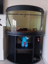Acquario
