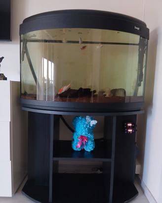 Acquario