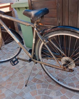 Bici da passeggio